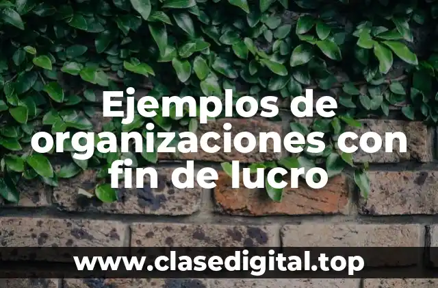 Ejemplos de organizaciones con fin de lucro