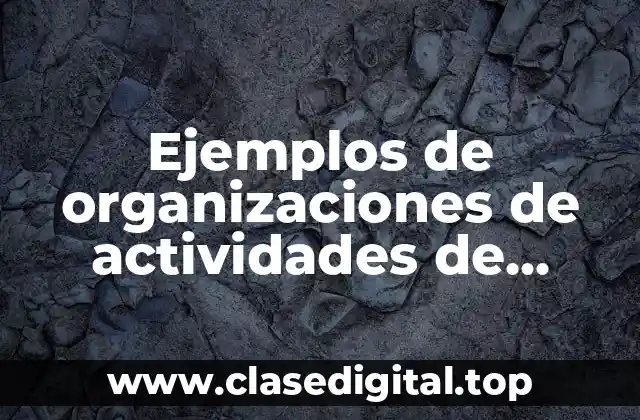 Ejemplos de organizaciones de actividades de aprendizaje en el aula