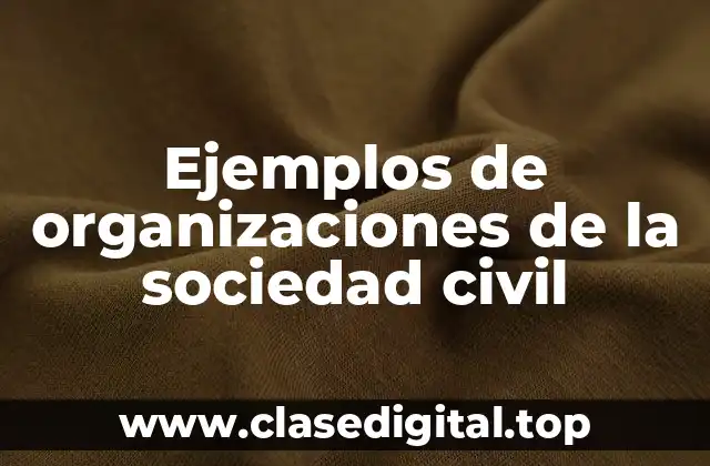 Ejemplos de organizaciones de la sociedad civil