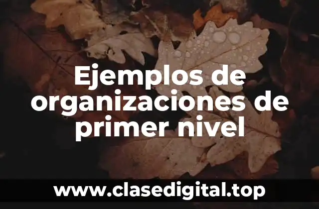 Ejemplos de organizaciones de primer nivel