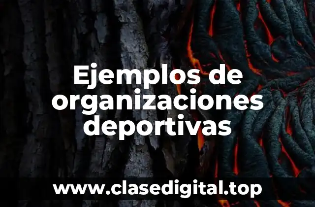 Ejemplos de organizaciones deportivas