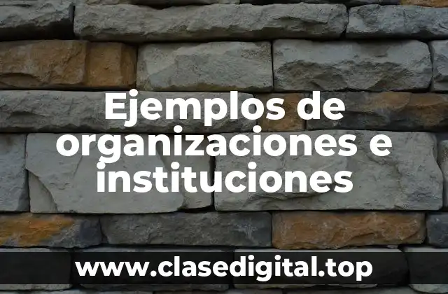 Ejemplos de organizaciones e instituciones