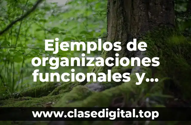 Ejemplos de organizaciones funcionales