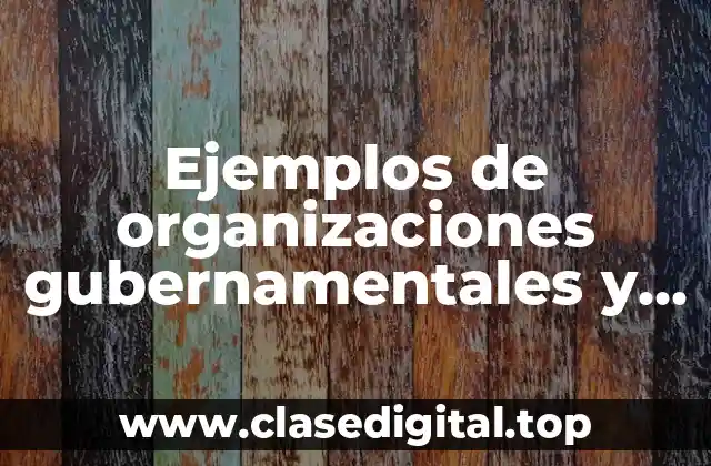 Ejemplos de organizaciones gubernamentales y no gubernamentales y Significado