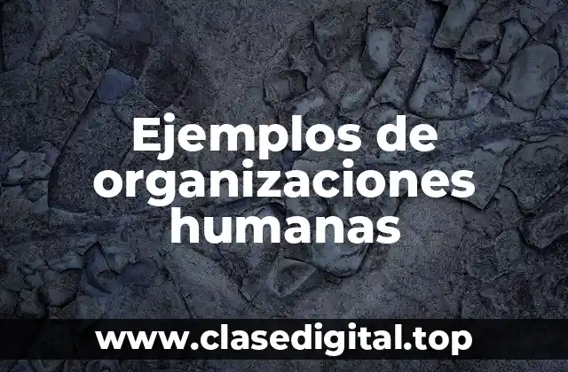 Ejemplos de organizaciones humanas