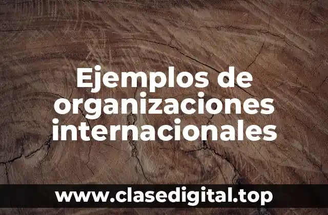 Ejemplos de organizaciones internacionales