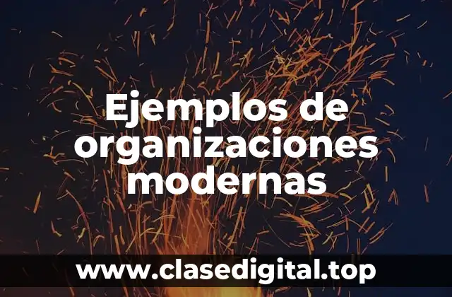 Ejemplos de organizaciones modernas