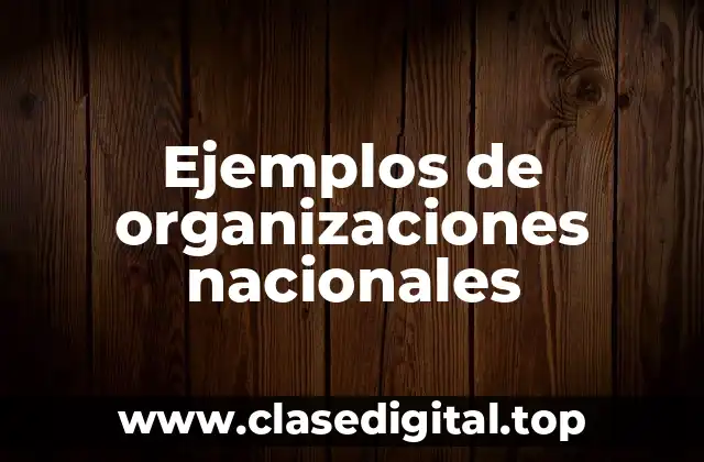 Ejemplos de organizaciones nacionales
