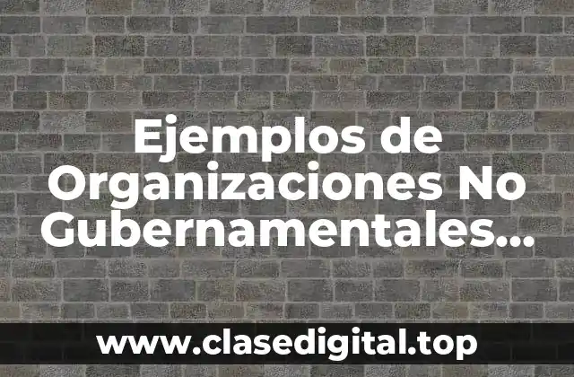 Ejemplos de Organizaciones No Gubernamentales que Defienden los Derechos Humanos y Significado