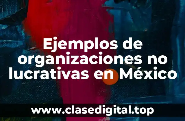 Ejemplos de organizaciones no lucrativas en México