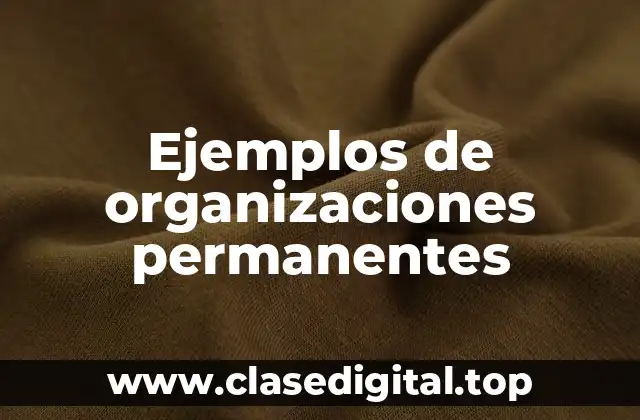 Ejemplos de organizaciones permanentes