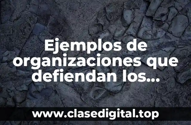 Ejemplos de organizaciones que defiendan los derechos de los niños