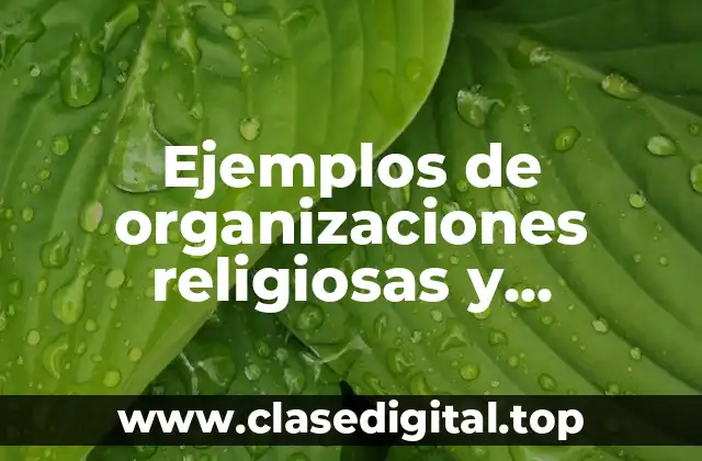 Ejemplos de organizaciones religiosas