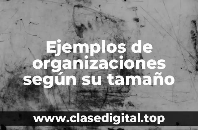 Ejemplos de organizaciones según su tamaño