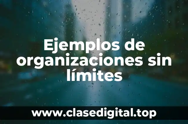 Ejemplos de organizaciones sin límites