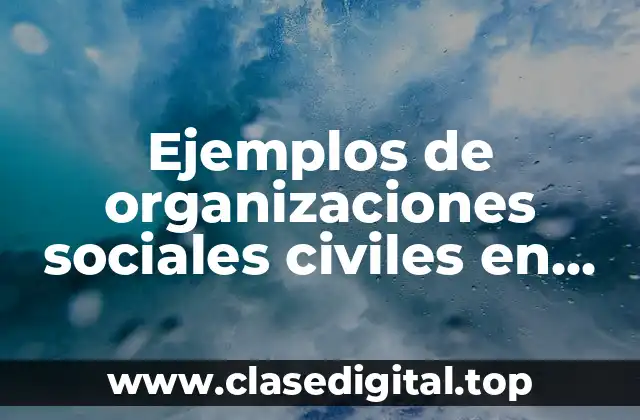Ejemplos de organizaciones sociales civiles en México