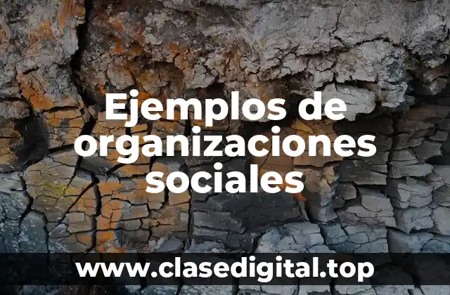 Ejemplos de organizaciones sociales