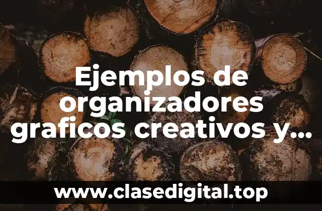 Ejemplos de organizadores graficos creativos y Significado