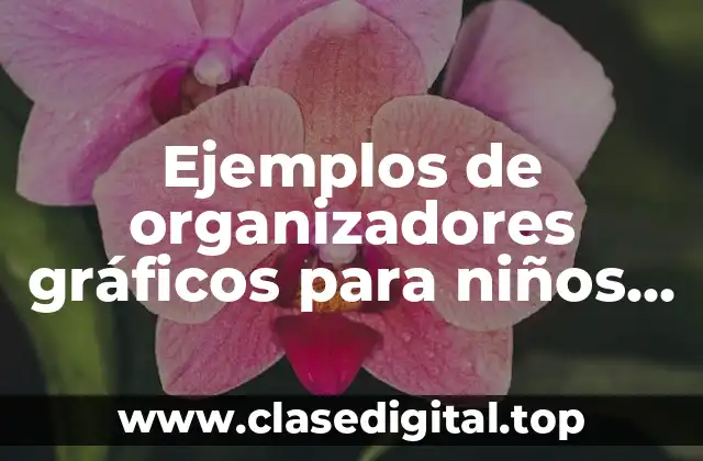 Ejemplos de organizadores gráficos para niños de tercero de primaria y Significado