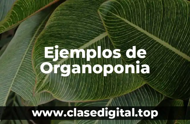 Ejemplos de Organoponia