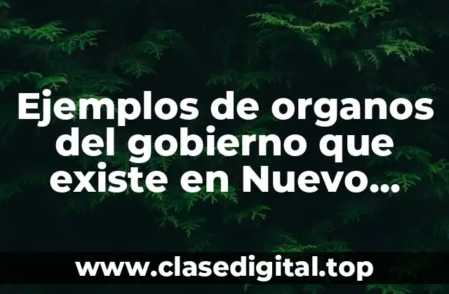 Ejemplos de organos del gobierno que existe en Nuevo León