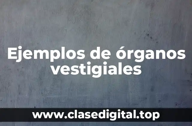 Ejemplos de órganos vestigiales
