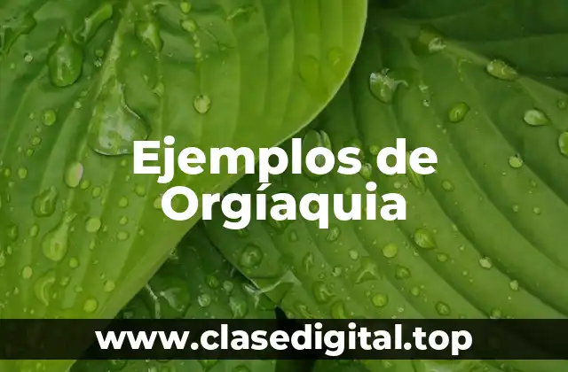 Ejemplos de Orgíaquia