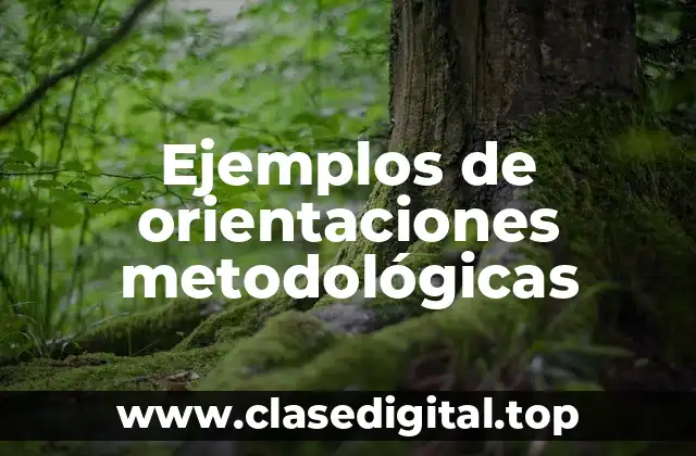 Ejemplos de orientaciones metodológicas