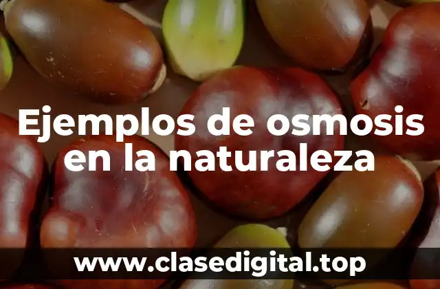 Ejemplos de osmosis en la naturaleza