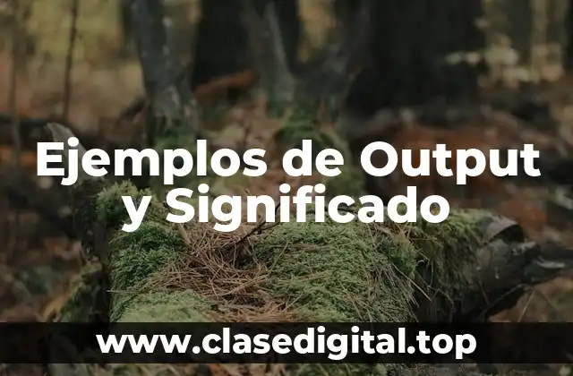 Ejemplos de Output y Significado