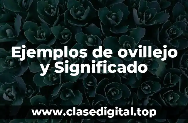 Ejemplos de ovillejo y Significado