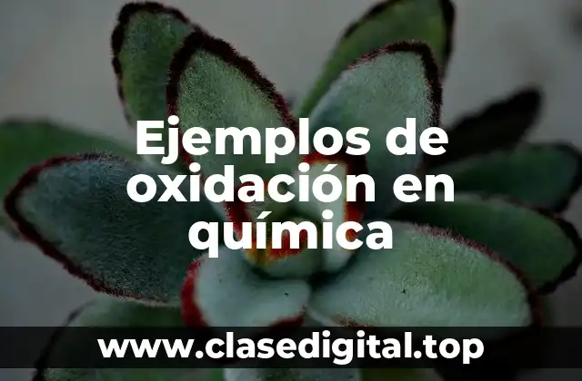 Ejemplos de oxidación en química