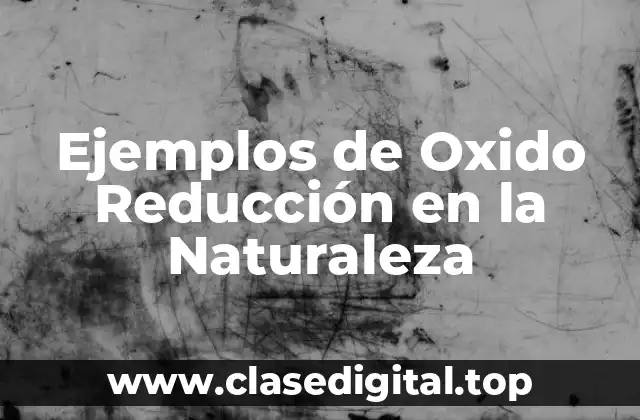 Ejemplos de Oxido Reducción en la Naturaleza