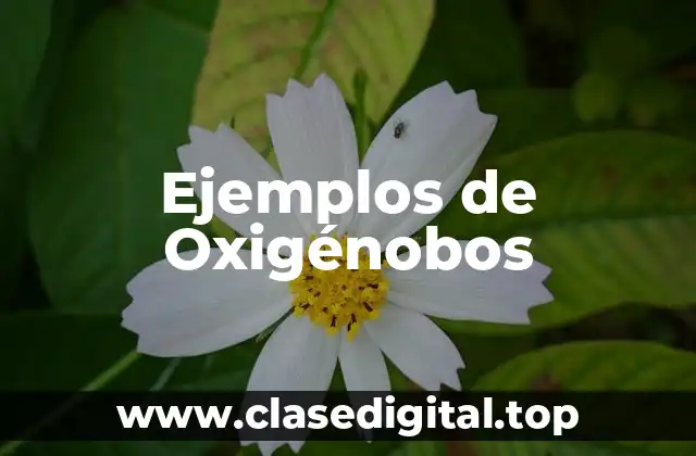 Ejemplos de Oxigénobos