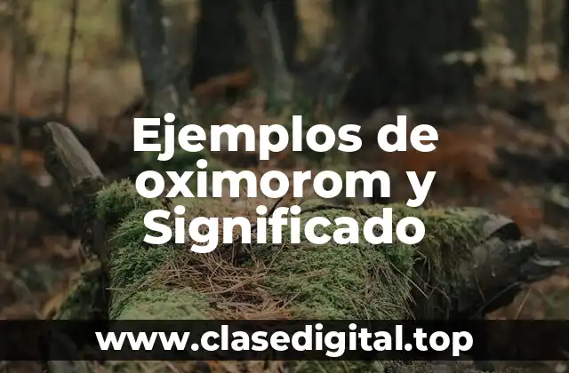 Ejemplos de oximorom y Significado