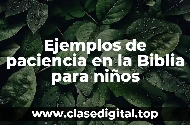 Ejemplos de paciencia en la Biblia para niños