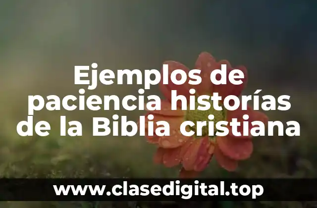Ejemplos de paciencia historías de la Biblia cristiana