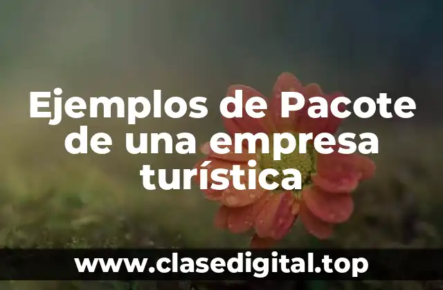 Ejemplos de Pacote de una empresa turística