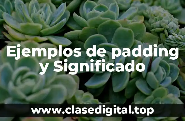 Ejemplos de padding y Significado