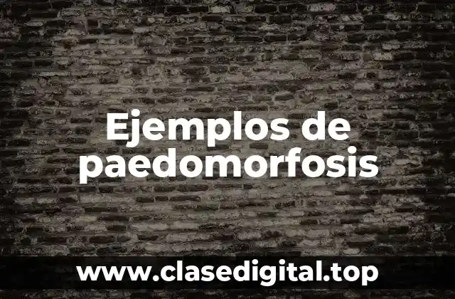 Ejemplos de paedomorfosis