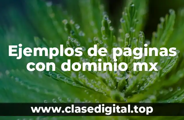 Ejemplos de paginas con dominio mx