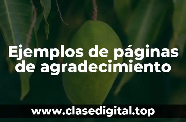 Ejemplos de páginas de agradecimiento