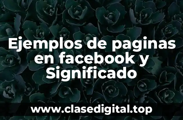 Ejemplos de paginas en facebook y Significado