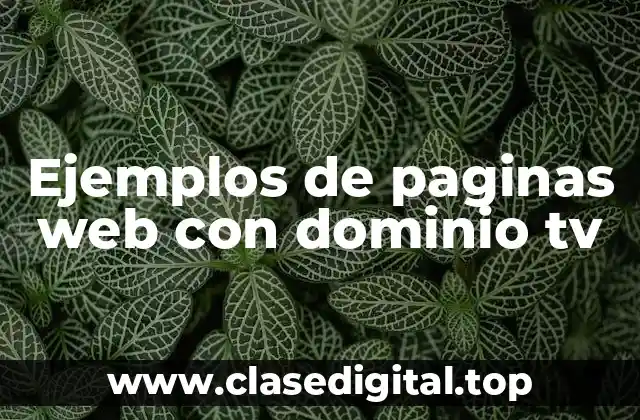 Ejemplos de paginas web con dominio tv