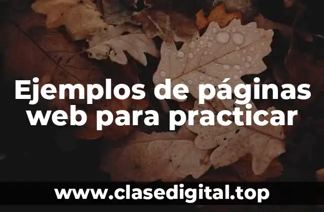 Ejemplos de páginas web para practicar