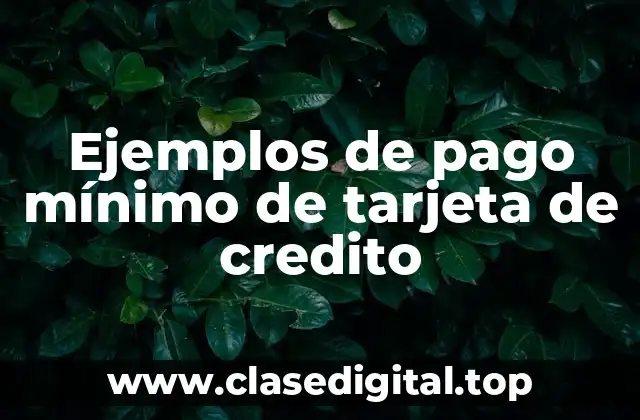 Ejemplos de pago mínimo de tarjeta de credito