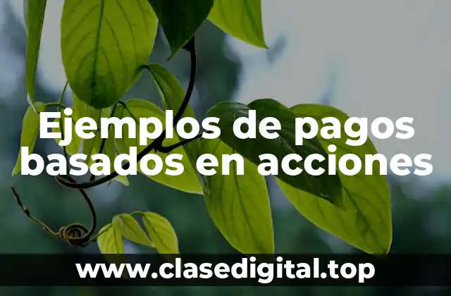 Ejemplos de pagos basados en acciones