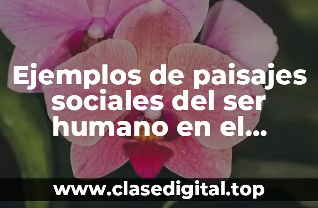 Ejemplos de paisajes sociales del ser humano en el mundo