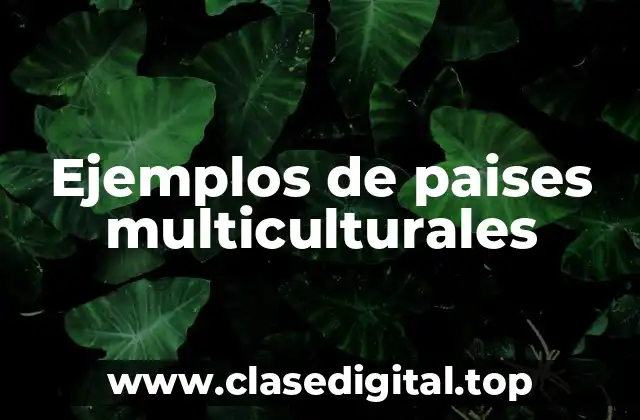 Ejemplos de paises multiculturales