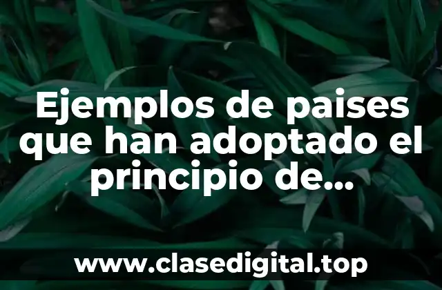 Ejemplos de paises que han adoptado el principio de inocuidad